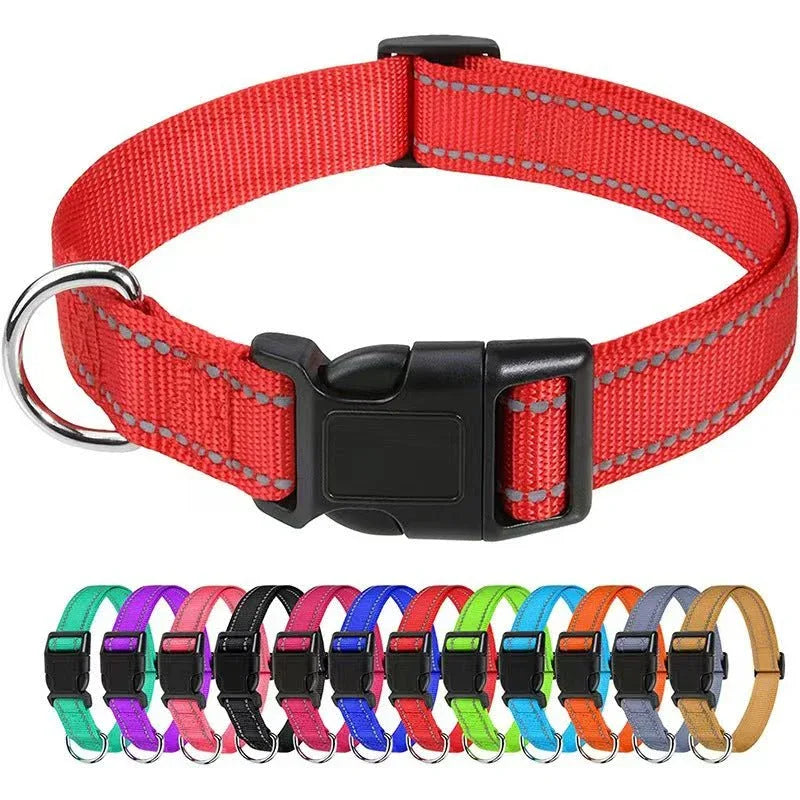 Outdoor Dog Collars For Large Medium And Small Dogs - seenewpaw