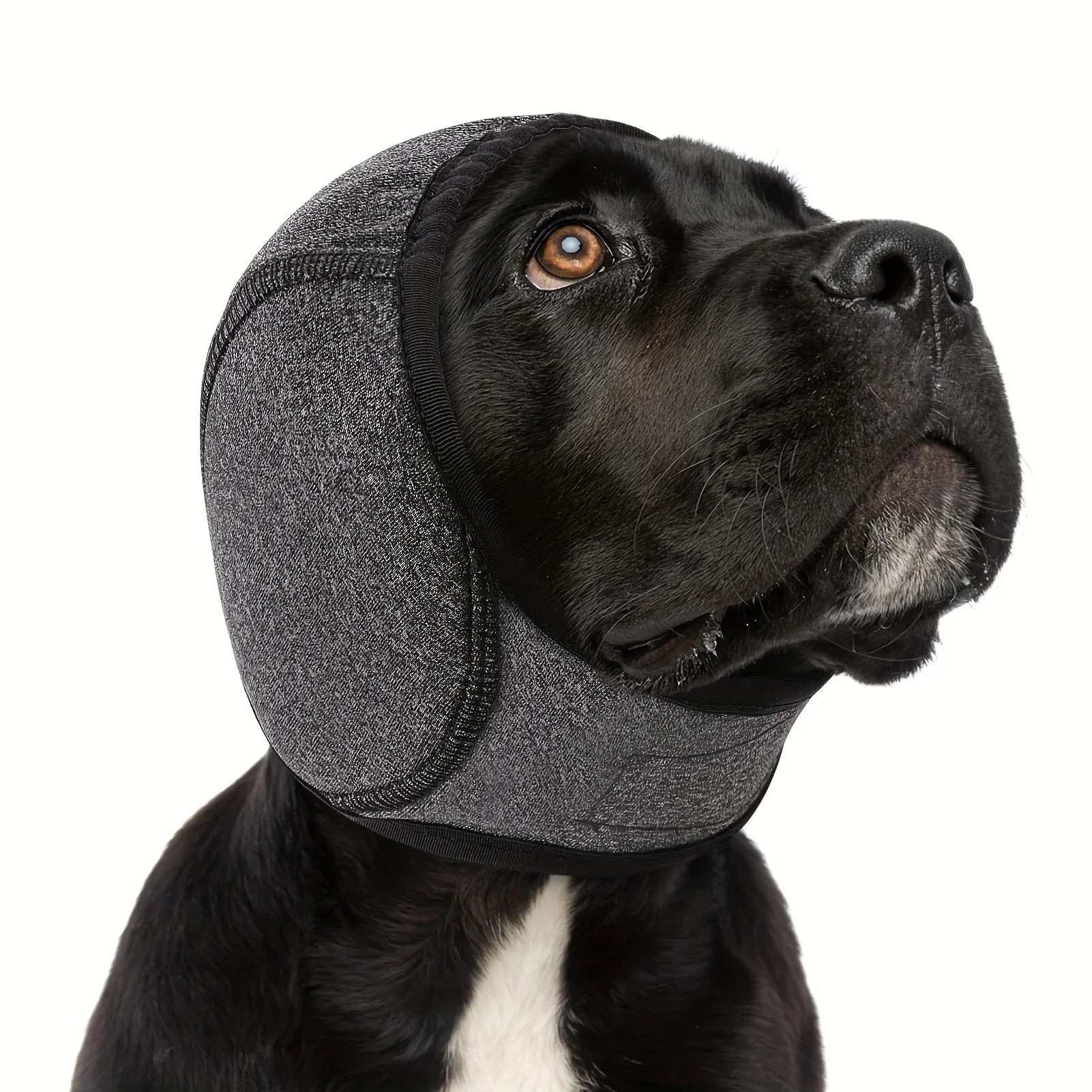 Swim - Proof Head Cover For Pet Dogs In Fall And Winter - seenewpaw