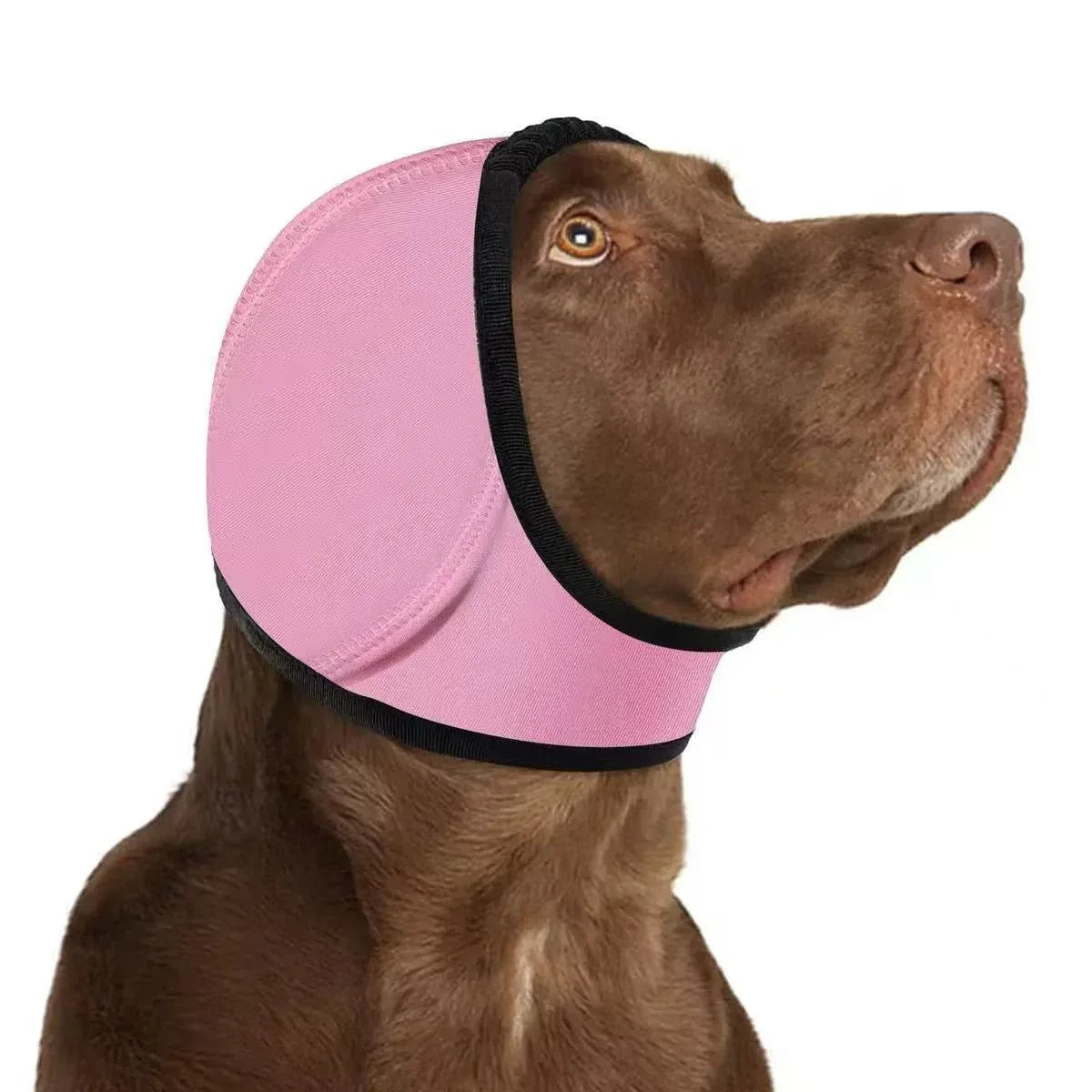 Swim - Proof Head Cover For Pet Dogs In Fall And Winter - seenewpaw