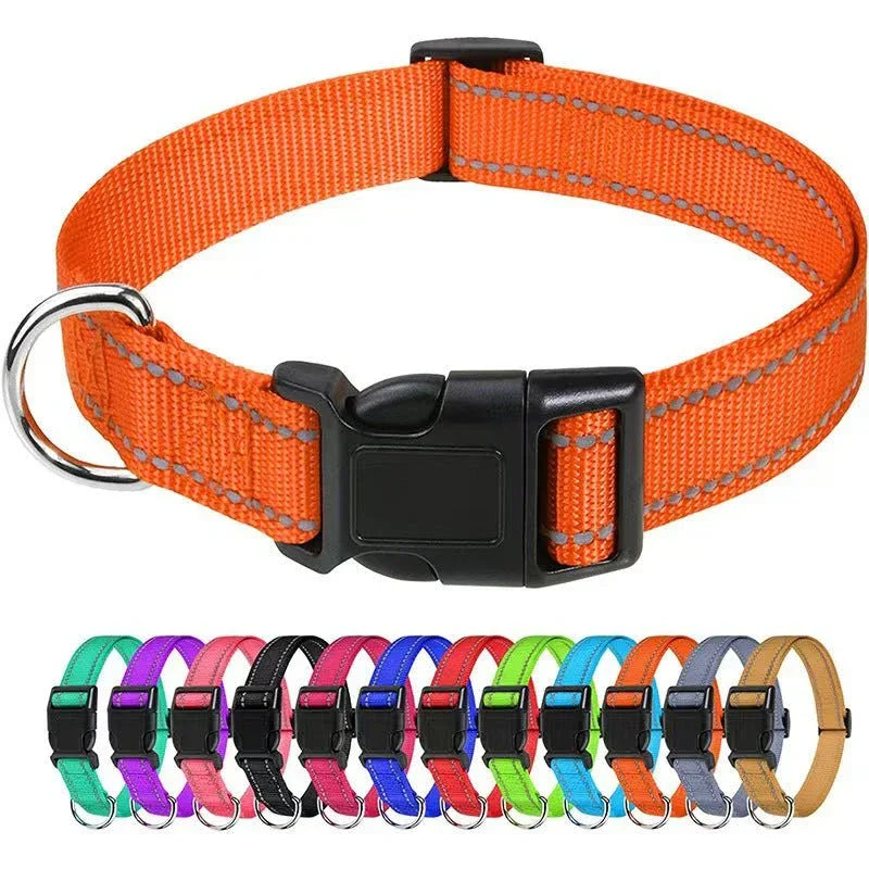 Outdoor Dog Collars For Large Medium And Small Dogs - seenewpaw