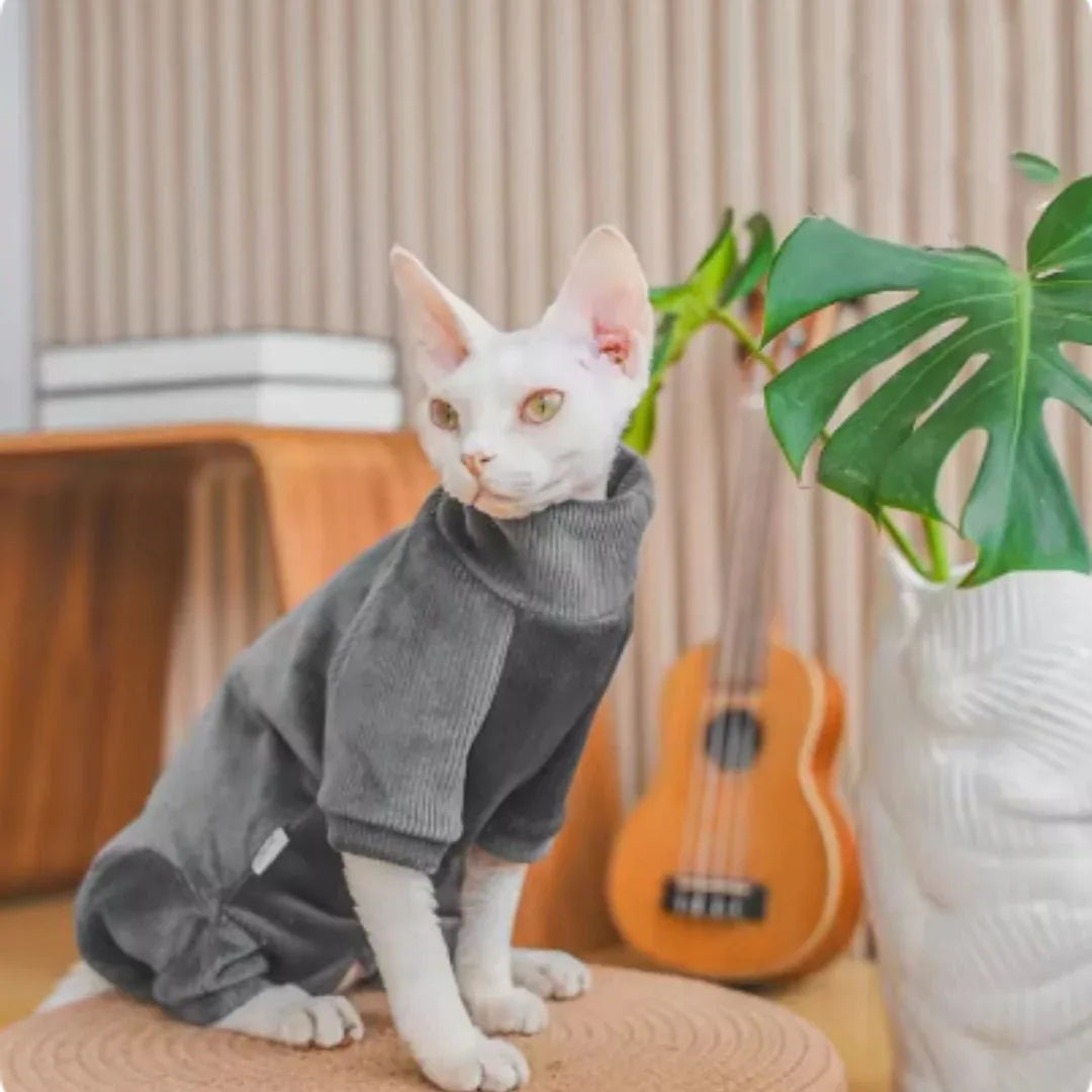 Thickened Fleece - lined Hairless Devon Cat Clothes, Warm And Pure Cotton - seenewpaw