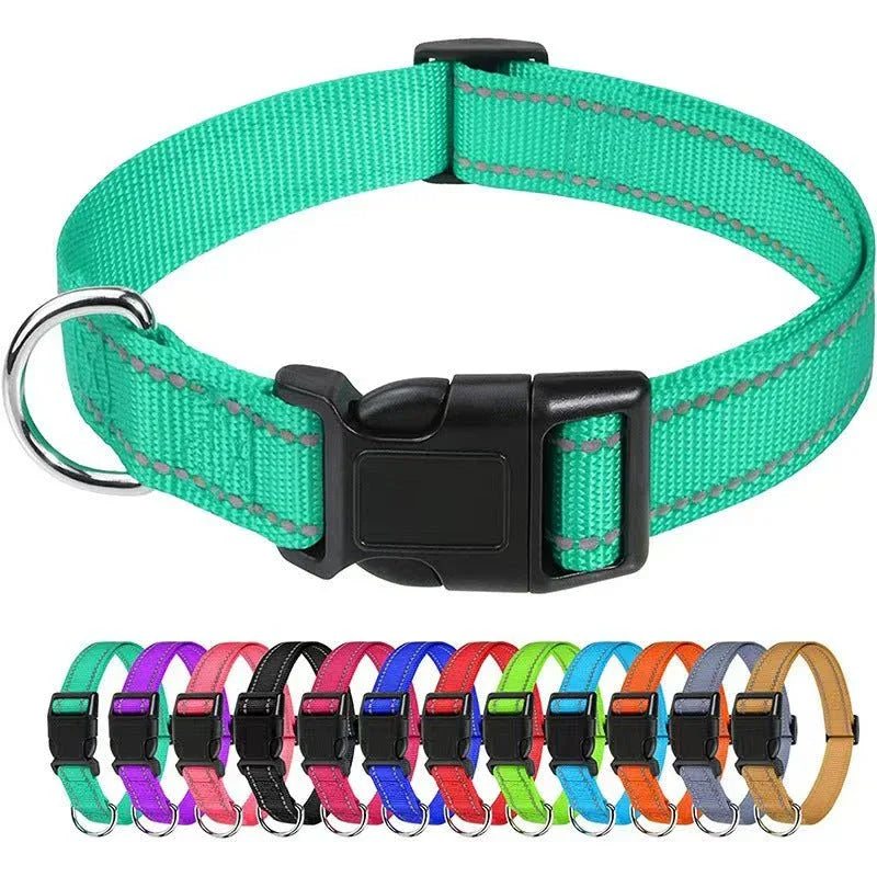Outdoor Dog Collars For Large Medium And Small Dogs - seenewpaw
