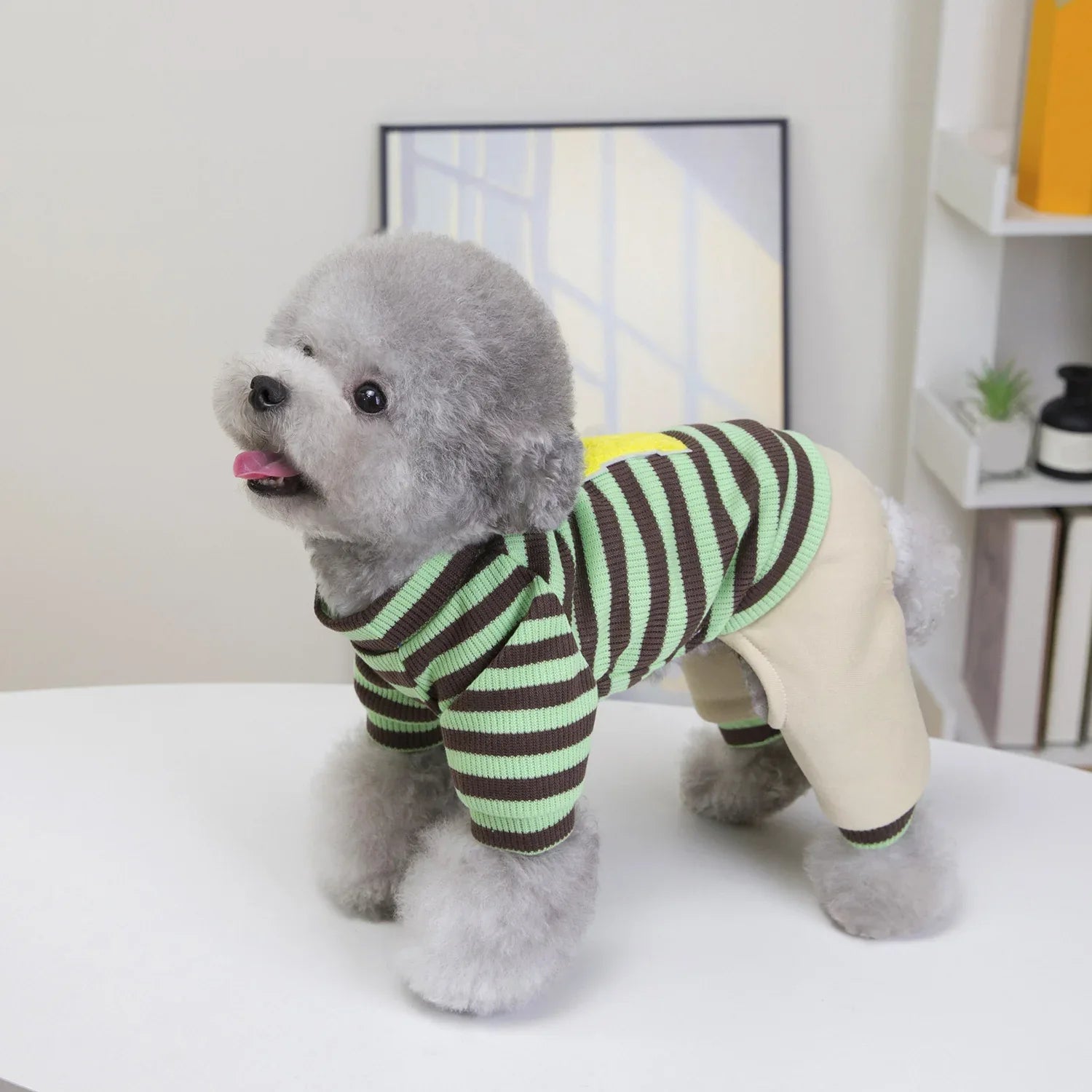 Pet Dog Hoodie With Twenty Five Stripes Casual Style Set - seenewpaw