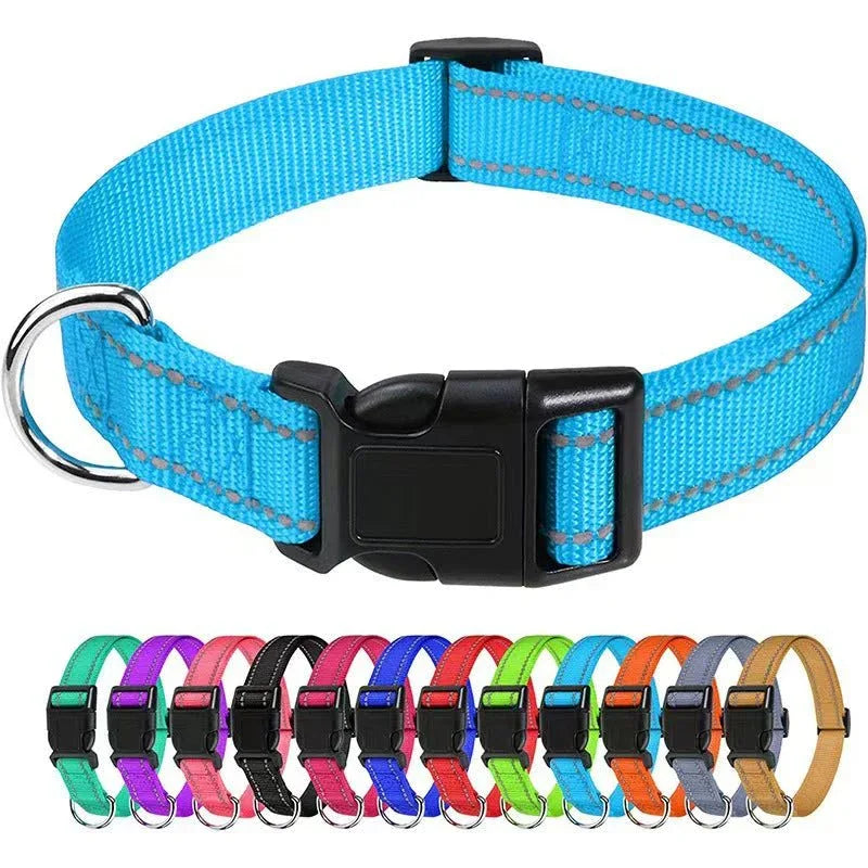Outdoor Dog Collars For Large Medium And Small Dogs - seenewpaw