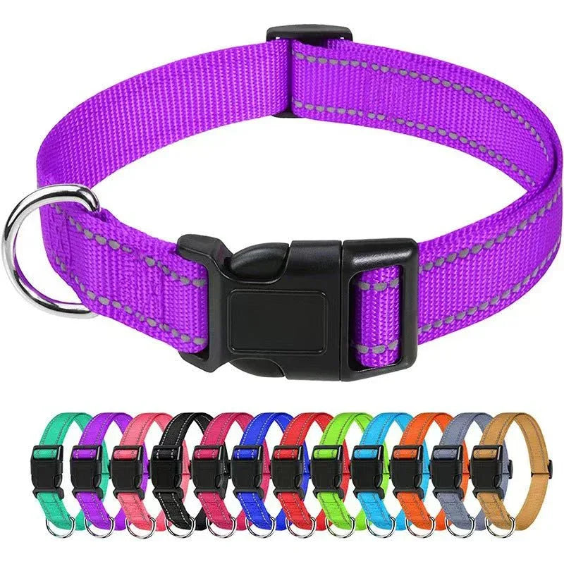 Outdoor Dog Collars For Large Medium And Small Dogs - seenewpaw