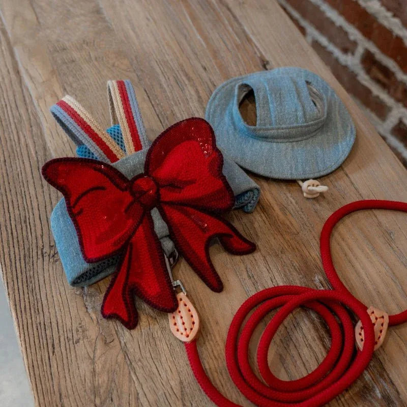 Sphynx Cat Chest Harness With Red Bow And Leash - seenewpaw