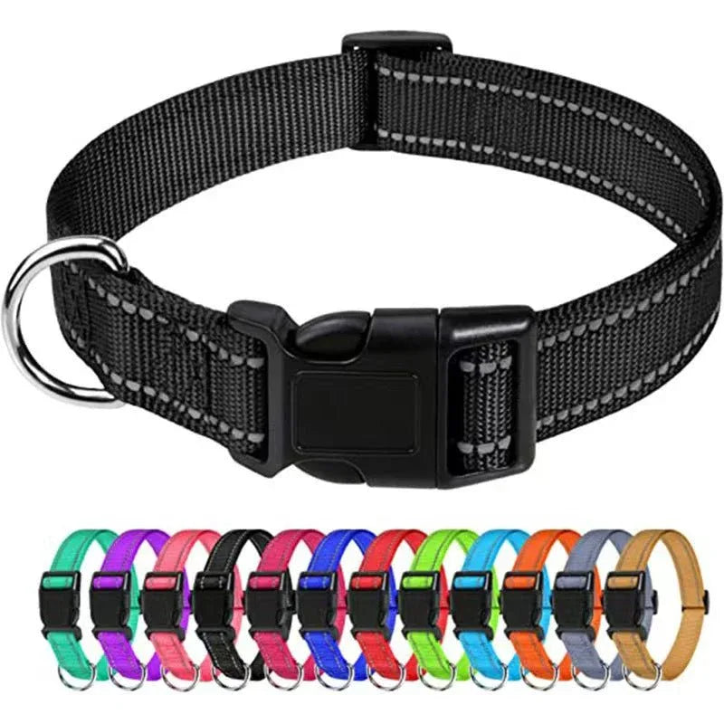 Outdoor Dog Collars For Large Medium And Small Dogs - seenewpaw
