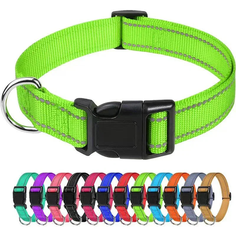 Outdoor Dog Collars For Large Medium And Small Dogs - seenewpaw
