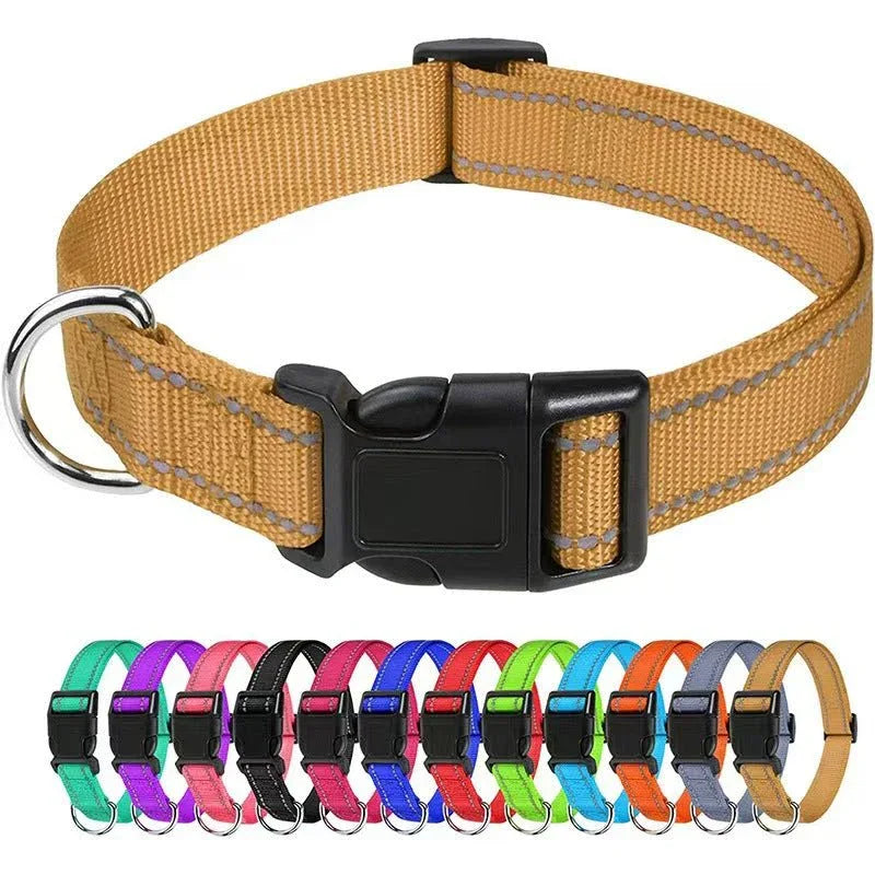 Outdoor Dog Collars For Large Medium And Small Dogs - seenewpaw