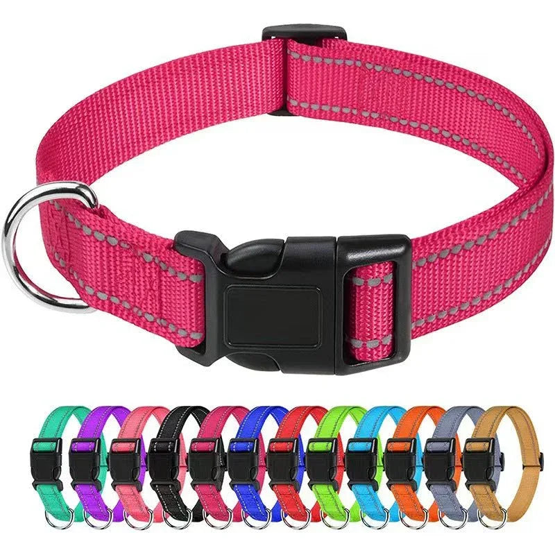 Outdoor Dog Collars For Large Medium And Small Dogs - seenewpaw