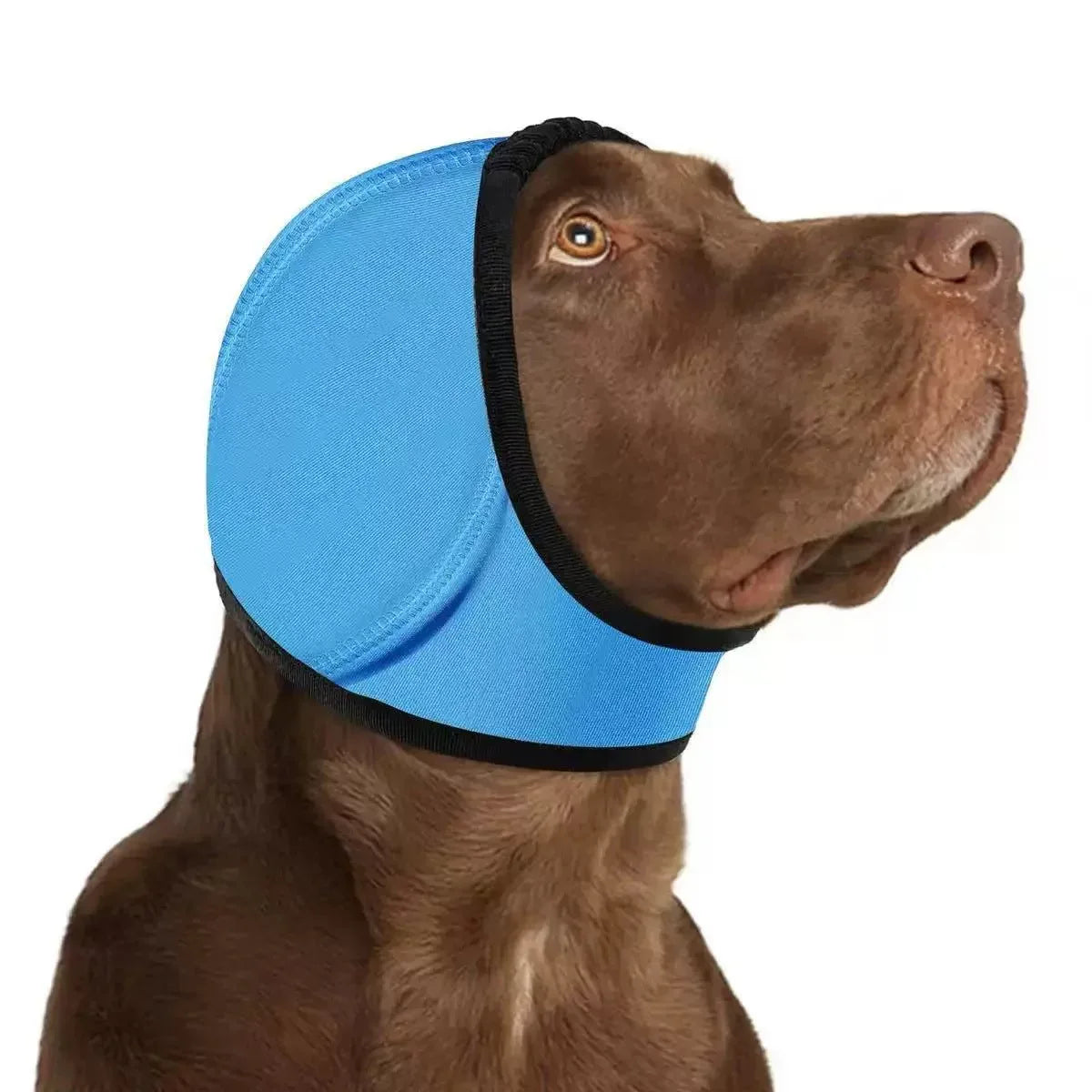 Swim - Proof Head Cover For Pet Dogs In Fall And Winter - seenewpaw