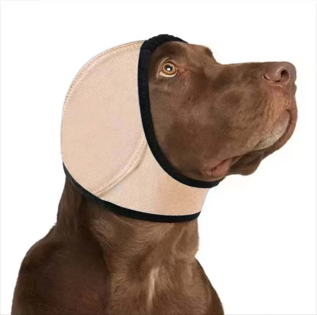 Swim - Proof Head Cover For Pet Dogs In Fall And Winter - seenewpaw