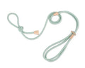 Pet Multi - functional Chest Harness Anti - Burst Leash - seenewpaw