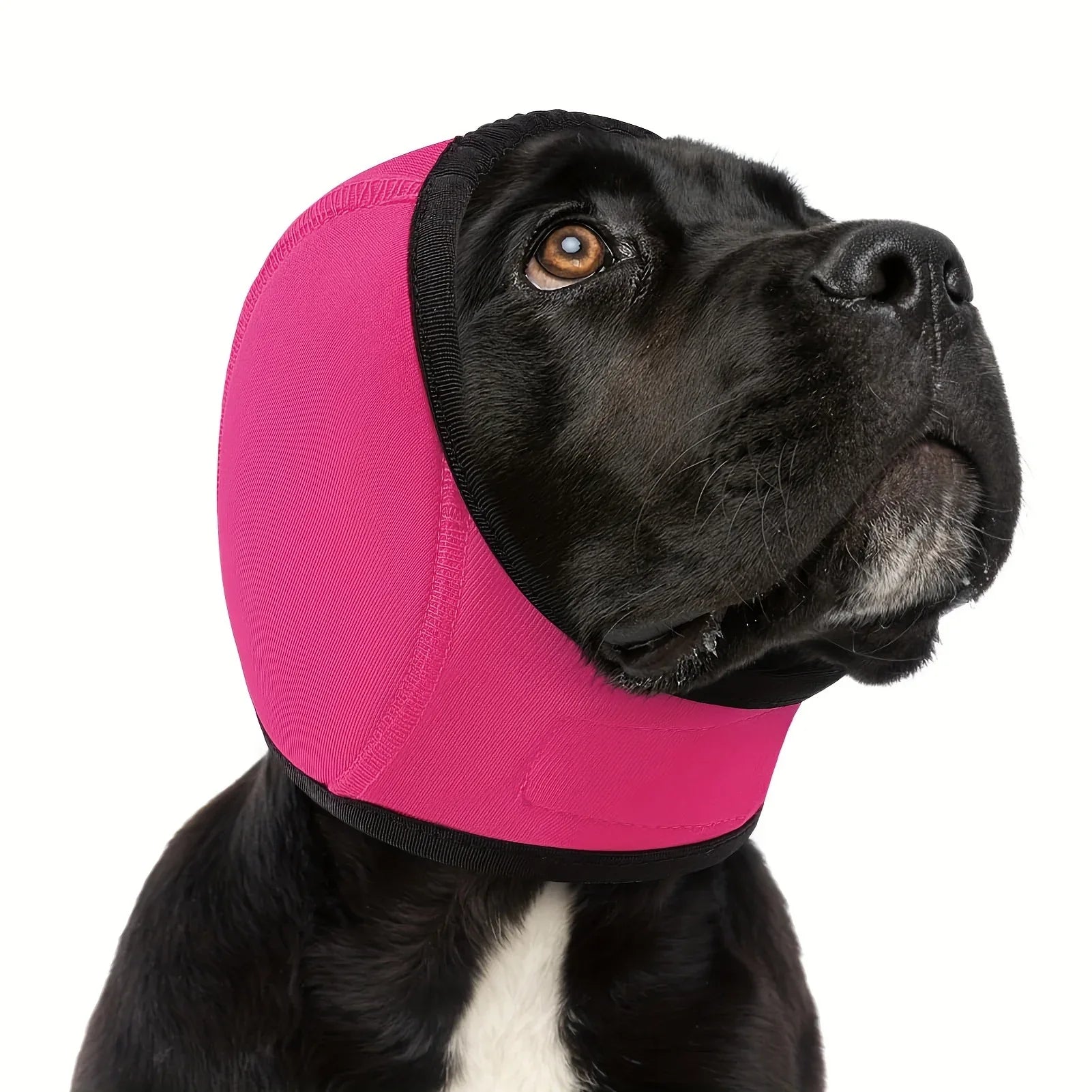 Swim - Proof Head Cover For Pet Dogs In Fall And Winter - seenewpaw