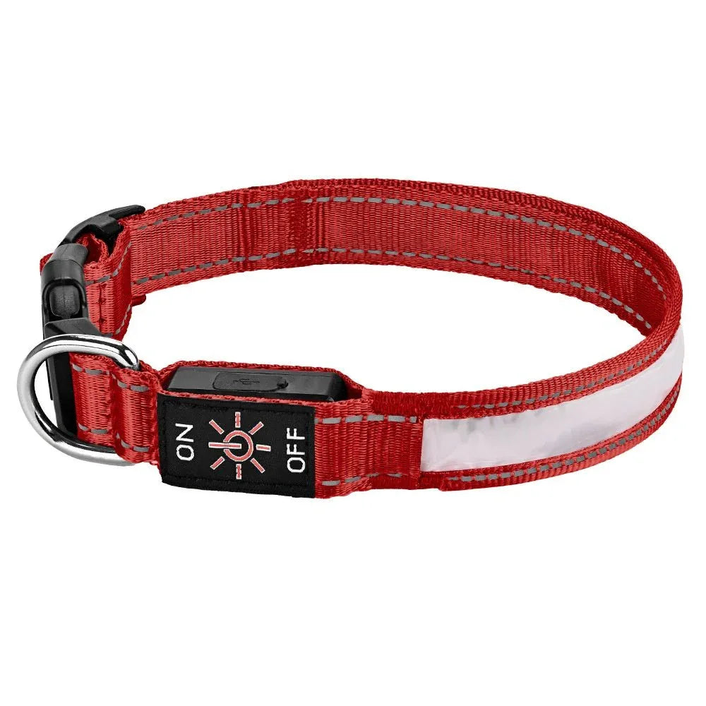 Multi - Color High - Visibility Rechargeable Pet Glow Collar - seenewpaw