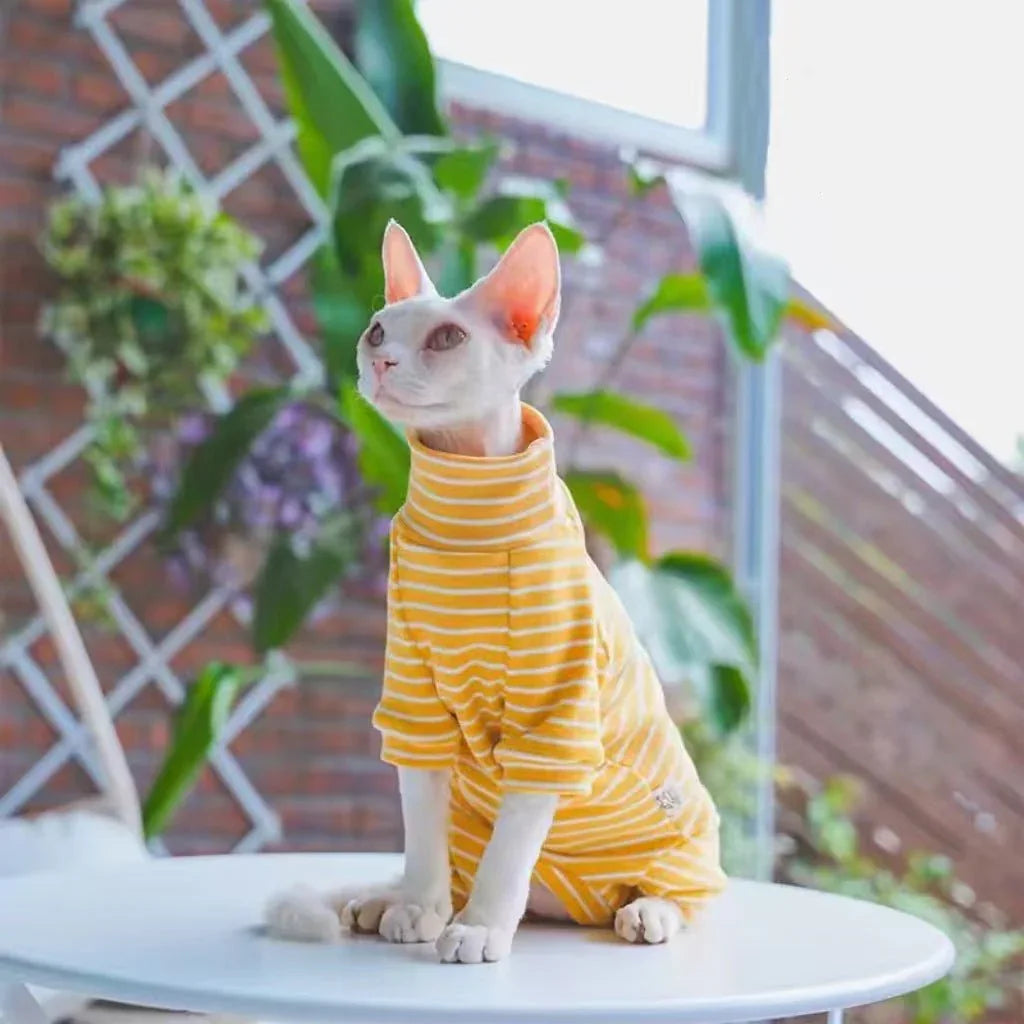 Pet Clothes Cat Spring Summer New Arrival Belly - Protecting Full - Covering - seenewpaw