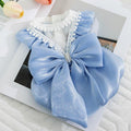 Cat Clothes Princess - style Sparkly Big Bow Dress - seenewpaw